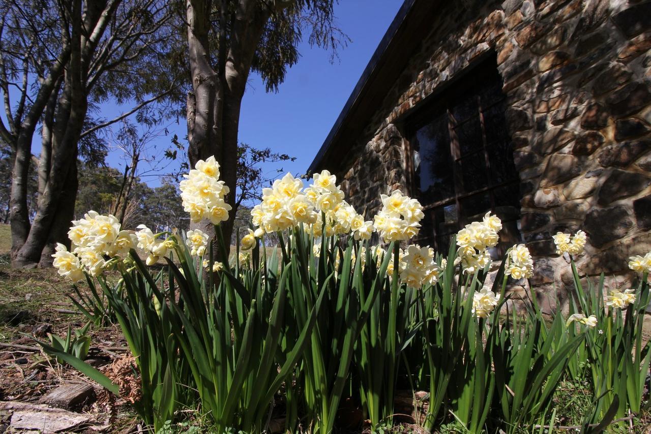 The Great House Bnb Buckland Extérieur photo